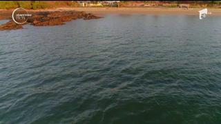 Doar un singur trib va locui în condiţii de lux în Madagascar. Care sunt provocările din "Ultimul Trib"