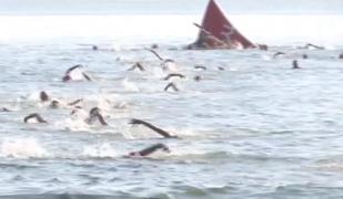 Cea mai mare ediţie de triatlon din sud-estul Europei are loc în staţiunea Mamaia