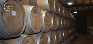 Podgoriile de peste Prut, magnet pentru turiști