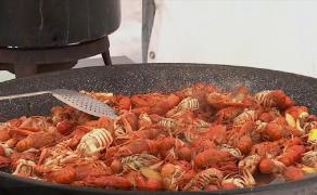 Caravana racilor la festivalul vinului. Ce combinaţie poate fi mai inspirată de atât?