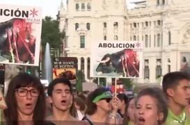 Spaniolii ar putea renunţa la o tradiţie veche de secole - luptele cu tauri