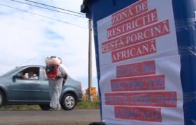 Un fals medic veterinar din Dâmboviţa a răspândit pesta porcină, susţinând că poate vindeca animalele