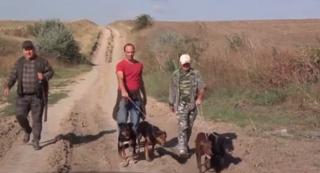 28.000 mistreţi ar trebui împuşcaţi în toata ţara, pentru a opri răspândirea peste porcine