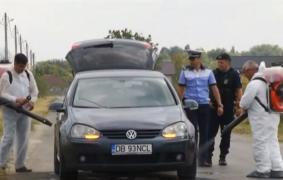 Epidemia de pestă porcină continuă să se extindă! În Gorj nu mai intră nicio mașină fără a fi controlată