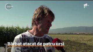 Un bărbat din Harghita a fost atacat de patru urşi, în timp ce mergea pe bicicletă