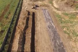 A început sacrificarea porcilor de la Dragalina. 21.000 de animale vor fi îngropate în incinta fermei