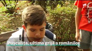 Economiile românilor. Tinerii preferă să dea banii pe telefoane inteligente şi vacanţe