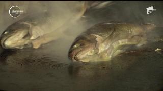 Românii sunt mari consumatori de macrou şi păstrăv, arată statisticile