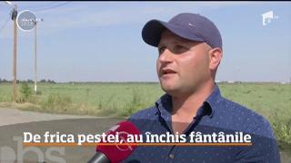 Observator 13 Weekend