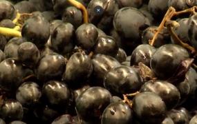 Alimentele negre sunt un izvor de sănătate în sezonul rece. Ce spun nutriţioniştii