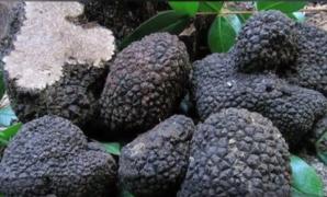 Alimente negre sunt alegerea perfectă iarna. Ce recomandări fac nutriţioniştii