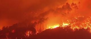 În timp ce românii se confruntă cu temperaturi de iarnă, în Italia şi Croaţia sunt incendii de vegetaţie