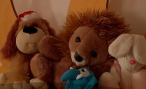 Părinţii din Capitală duc o adevărată luptă pentru copii, pentru a le asigura un loc la creşă sau grădiniţă