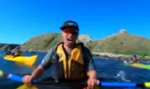 O focă nervoasă i-a aruncat o caracatiță în barcă unui canotor