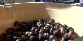 Castanele comestibile au devenit ingredientul principal al unui desert din ce în ce mai apreciat în România