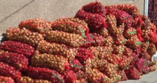 Merele din Banat putrezesc, în timp ce comercianții aduc fructe din import