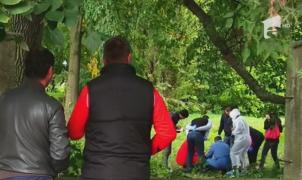Ipoteză macabră în cazul cadavrului abandonat într-un parc din Bihor. Ce spun anchetatorii