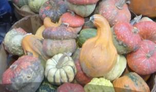 Dovleacul, ingredientul de sezon. Secretul gospodinelor pentru a fi perfect copt