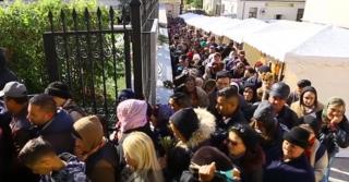 Măsuri anti pesta porcină la Iaşi, înaintea celui mai mare pelerinaj ortodox din România