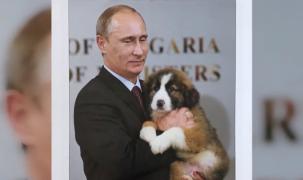 A fost lansat calendarul ilustrat cu pozele lui Vladimir Putin!