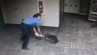 Poliţiştii unui orăşel din Texas au avut parte de o "spargere" inedită. Doi ratoni s-au strecurat pe neaşteptate în sediul lor