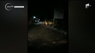 Un urs a ajuns până în curtea spitalului de Urgenţă din Miercurea Ciuc