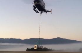 Două ursoaice gestante din Slovenia au fost mutate cu elicopterul până în sudul Franţei, unde specia este pe cale de dispariţie