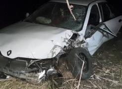 A născut după un accident. O tânără însărcinată a ajuns la spital, după ce a lovit o mașină și apoi s-a oprit într-un copac