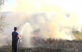 Sute de hectare de vegetaţie au fost mistuite de incendii în judeţul Mehedinţi