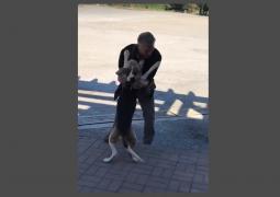 Reacția emoționantă a unui câine care-și vede stăpânul din Rusia, la o lună de la un accident suferit pe Valea Prahovei