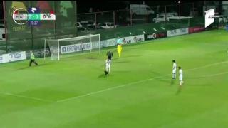 Un câine năzdrăvan din Georgia a devenit vedetă pe internet, după ce a întrerupt un meci de fotbal din Liga Naţională