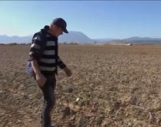 Cartofii sunt mai puţini în acest an. Ce preţuri vor fi la tarabe