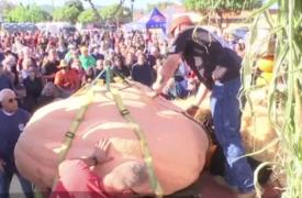 Concursul dovlecilor în America. Cel mai mare bostan cântăreşte aproape o tonă