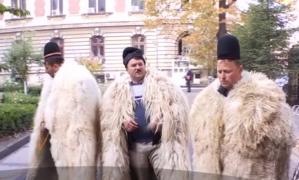 Protest cu oi și berbeci în fața ministrului Petre Daea. Oierii spun că nu mai au păşuni, iar preţul animalelor a scăzut foarte mult