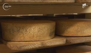 Brânza bio cu tarhon și cașcavalul cu chimen, rețetele de succes ale fermierilor români