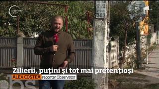 Observator 13 Weekend