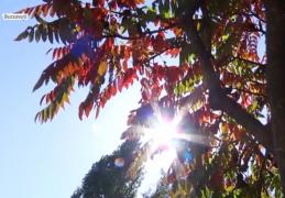 Temperaturi de vară, la mijloc de octombrie. Meteorologii anunţă, însă, că vremea se răceşte