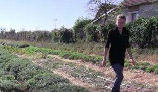 O tânără a lasat Elveţia pentru un sat din România, unde şi-a dezvoltat o afacere BIO