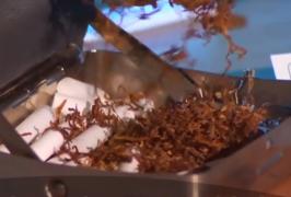 Statistică îngrijorătoare în judeţul Timiş. Din ce în ce mai mulţi copii încep să se drogheze