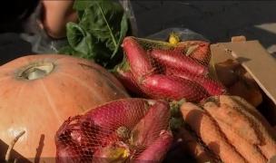 Lădița cu legume crescute ca în grădina bunicilor vine acum prin curier