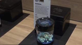 Canada, a doua țară din lume care a legalizat canabisul