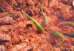 Bucureşti, capitala festivalelor culianare în acest weekend! La putere sunt pastrama de berbecuţ, sărmăluţele sau magiunul de Maramureş