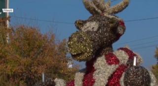 Piteştiul a dat startul operaţiunii "Decoraţiunea de Crăciun"