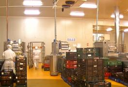 Tot mai mulţi români renunţă la meseriile lor ca să înveţe informatică, pentru a lucra în domeniul IT