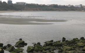 Un fenomen rar i-a surprins pe constănţeni. Marea s-a retras aproape 20 de centimetri, iar în larg au apărut mici insule de nisip