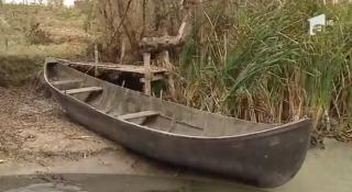 Delta Dunării riscă să devină o mlaştină uriaşă. Cotă istorică la care a scăzut apa