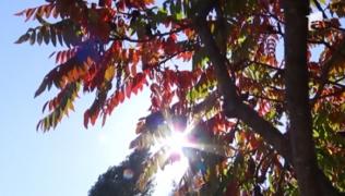 Temperaturi istorice la final de octombrie. Vremea se schimbă brusc, anunţă ANM