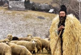 O fotografie cu un cioban din zona Branului, în topul National Geographic al celor mai frumoase peisaje