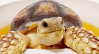 Un întreg orăşel din California este în alertă, după ce o vedetă de pe reţelele de socializare a dispărut fără urmă