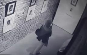 Tablourile a doi pictori celebri, deteriorate de o tânără care voia să își facă un selfie